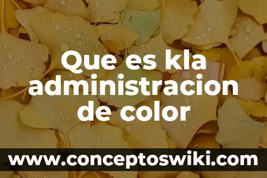 Qué es el comunismo y con qué color se identifica 7 Que es kla administracion de color
