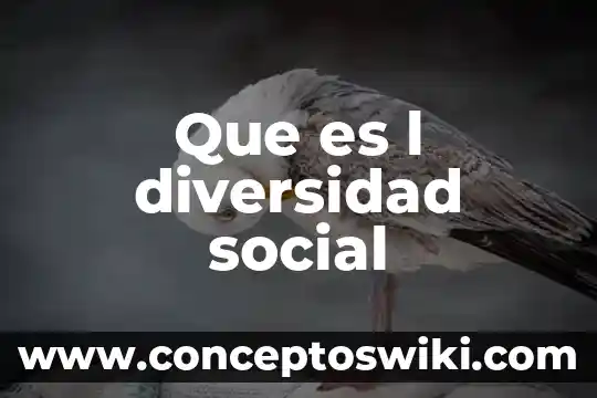 Que es metodologia de l investigacion 3 Que es l diversidad social