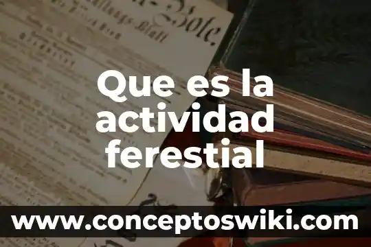 Que es una actividad de integracion 5 Que es la actividad ferestial