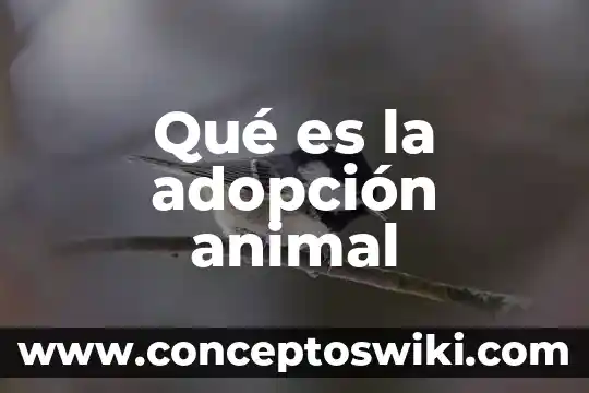 Qué es el camuflaje animal 7 Qué es la adopción animal