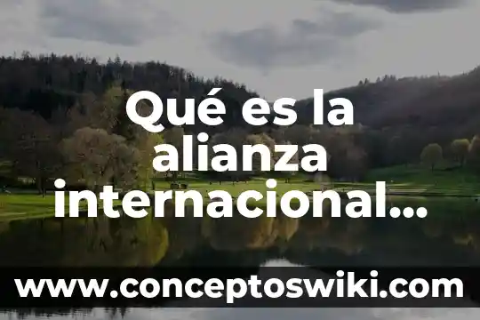 Qué es anatel internacional 8 Qué es la alianza internacional de cooperativas