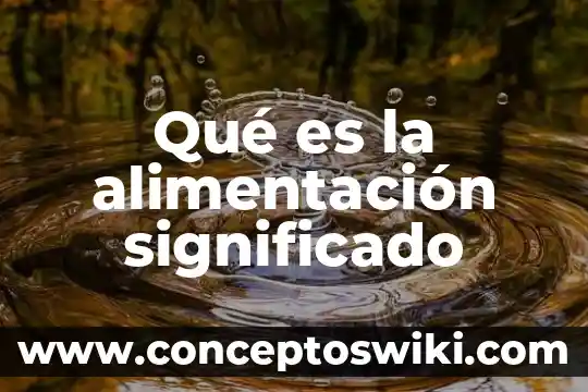 Qué es palurdo significado 8 Qué es la alimentación significado