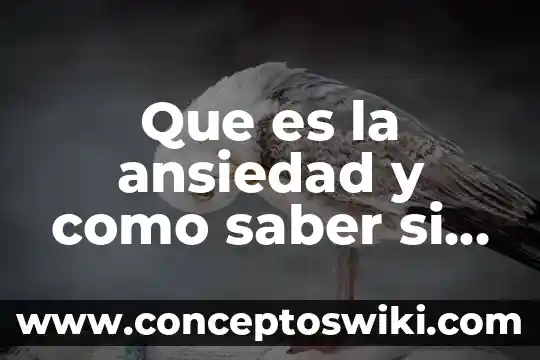 Yo tengo un amigo que es un mar en calma 6 Que es la ansiedad y como saber si tengo