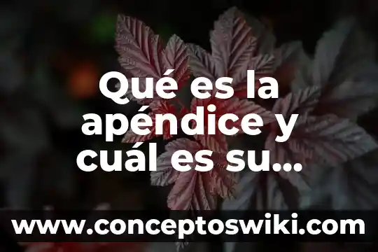 Que es el proyecto educati y cual es su fin 3 Qué es la apéndice y cuál es su función