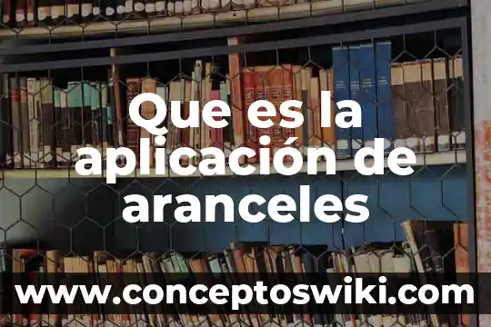 Que es software de aplicacion ejecutivo 6 Que es la aplicación de aranceles