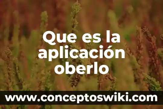 Que es software de aplicacion ejecutivo 3 Que es la aplicación oberlo