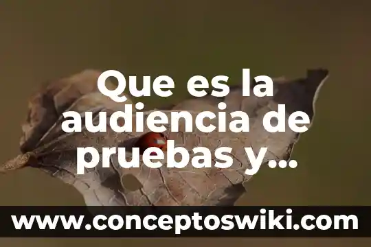 Qué es la firma digital en código de comercio 8 Que es la audiencia de pruebas y alegatos civil
