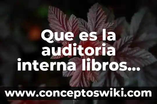 Que es auditoria de personal 4 Que es la auditoria interna libros unam 2017