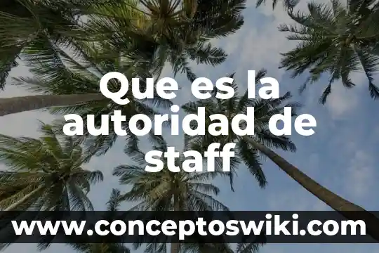 Google School que es argumento de autoridad 3 Que es la autoridad de staff