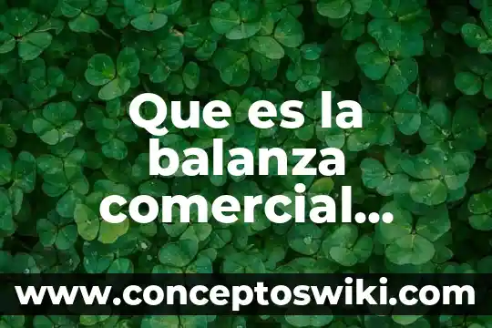 Que es una categoria en investigacion segun autores 3 Que es la balanza comercial segun autores