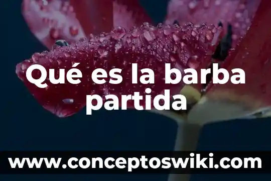Que es una partida arancelaria 5 Qué es la barba partida