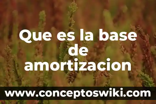 Base de siemiento construir sobre roca que es Cristo 3 Que es la base de amortizacion