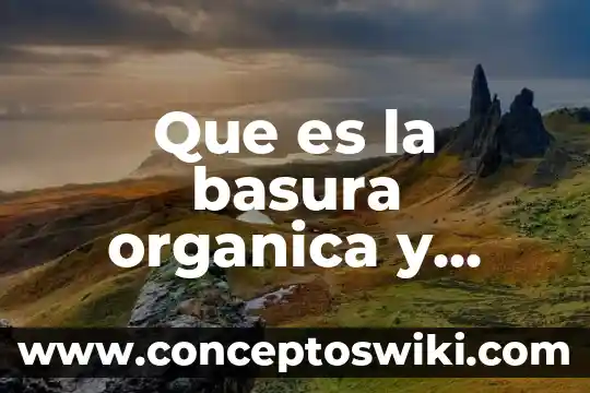 Qué es la química orgánica 4 Que es la basura organica y cuanto tarda en degradarse