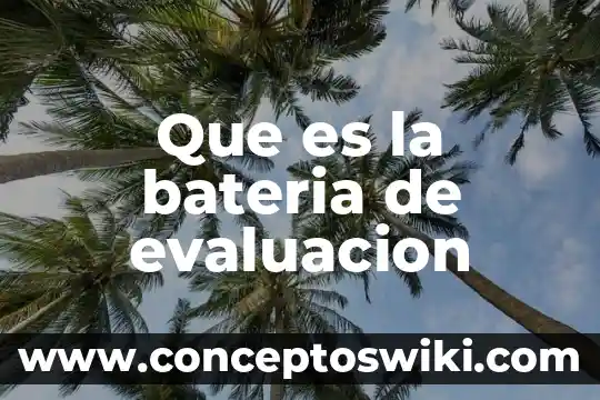 Qué es evaluación según domingo blázquez 5 Que es la bateria de evaluacion