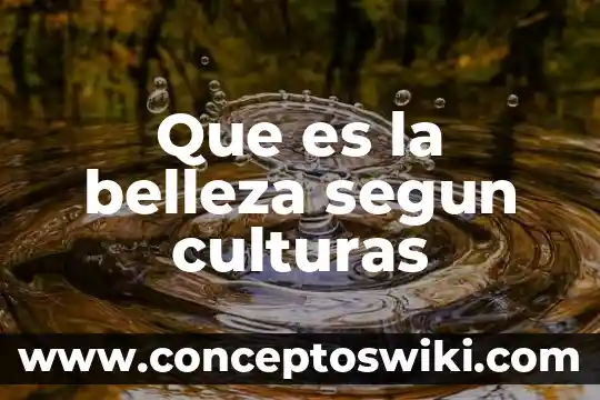 Que es la importación de bienes según la ley aduanera 8 Que es la belleza segun culturas