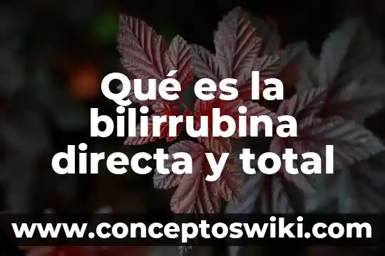 Qué es la señal directa 7 Qué es la bilirrubina directa y total