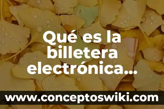 Que es la firma electronica avazada 3 Qué es la billetera electrónica peruana