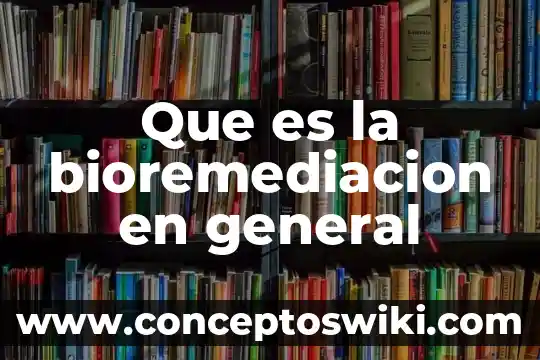Que es un usuario general de la contabilidad 8 Que es la bioremediacion en general