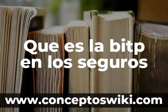 Que es un seguros de viaje internacional 8 Que es la bitp en los seguros