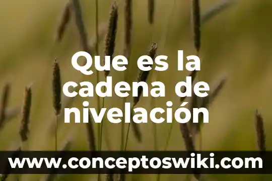 Que es el indulto internacional 4 Que es la cadena de nivelación