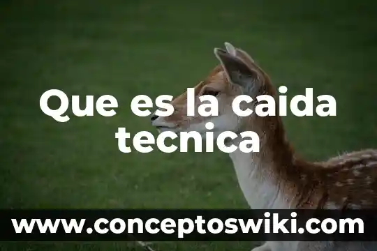 Qué es bueno para la caída del cabello y crecimiento 8 Que es la caida tecnica