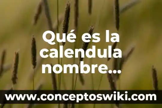 Que es un tratamiento cientifico integral 7 Qué es la calendula nombre científico
