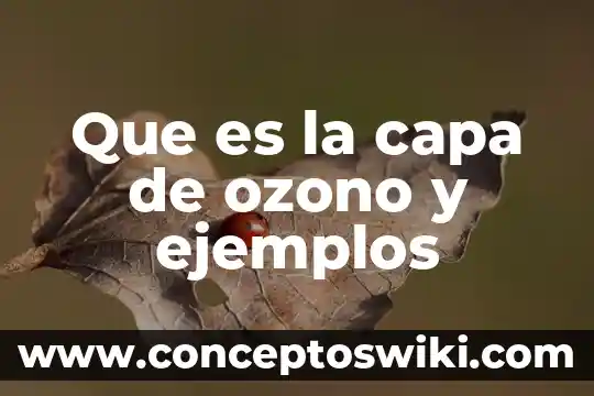 Que es etimología y sus ejemplos 5 Que es la capa de ozono y ejemplos