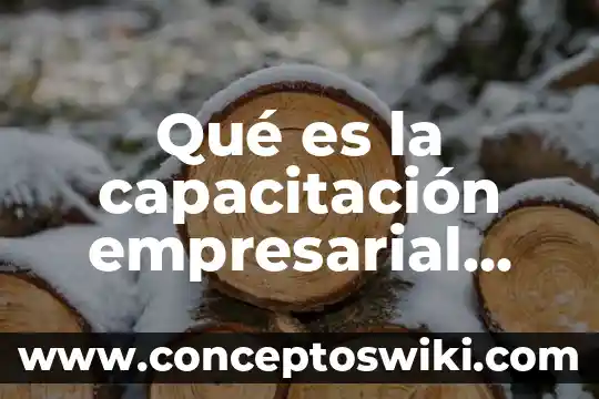 Que es opinion autores 3 Qué es la capacitación empresarial autores