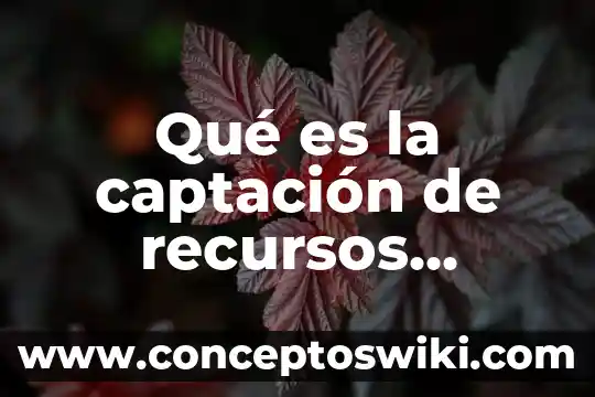Que es cohecho a servidores publicos extranjeros 5 Qué es la captación de recursos públicos