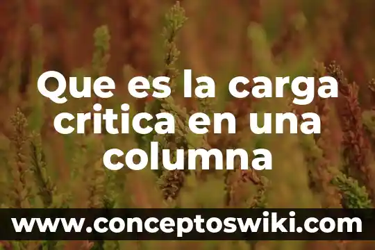 Qué es un mimeógrafo definición 5 Que es la carga critica en una columna
