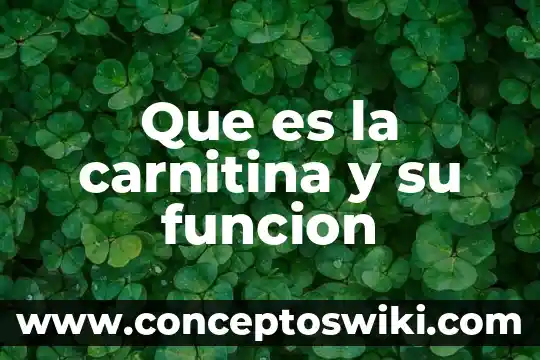 Qué es la función ecolo 4 Que es la carnitina y su funcion