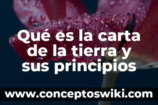 Que es el nss en una carta laboral 6 Qué es la carta de la tierra y sus principios