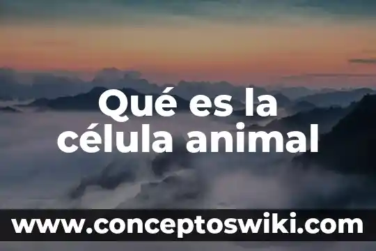 ¿Que es dna en una celula? 3 Qué es la célula animal