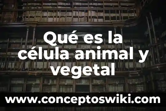 Qué es el aparato de Golgi resumen corto célula vegetal 8 Qué es la célula animal y vegetal