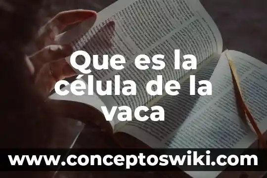 Que es la membrana celular dela celula animal 5 Que es la célula de la vaca
