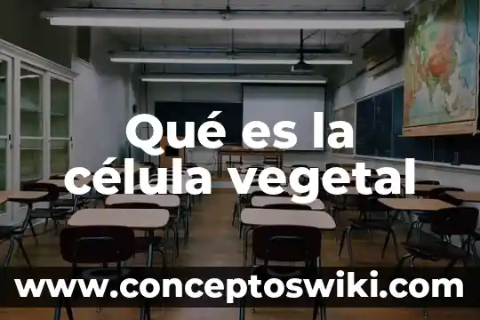 Qué es la célula animal y vegetal 5 Qué es la célula vegetal