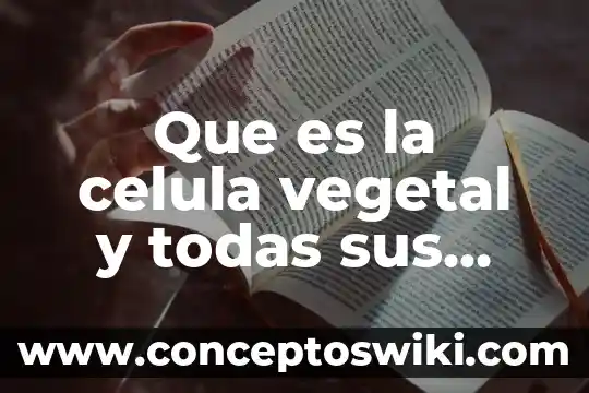 Que es lo mas importante de la celula animal 7 Que es la celula vegetal y todas sus partes