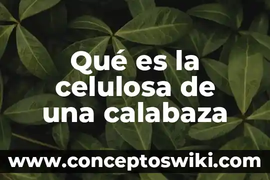 Que es celulosa ejemplos 3 Qué es la celulosa de una calabaza