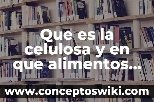 Que es celulosa ejemplos 6 Que es la celulosa y en que alimentos se encuentran
