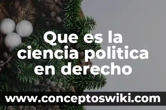 Que es duplo en derecho 7 Que es la ciencia politica en derecho