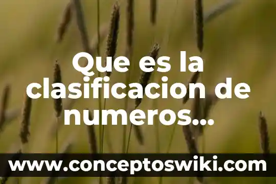 Que es una sustracción en numeros decimales 8 Que es la clasificacion de numeros decimales