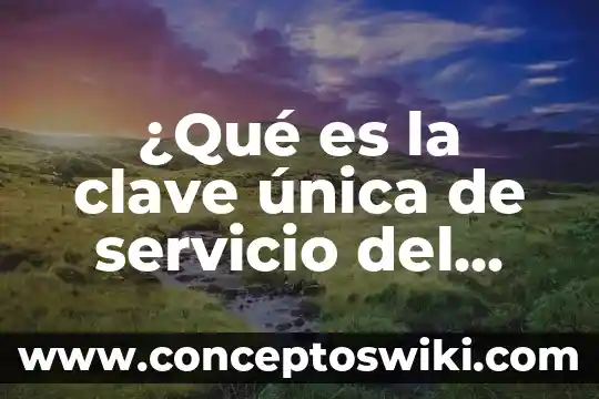 Que es un paquete fit y servicio compartido 3 ¿Qué es la clave única de servicio del E-SAR?