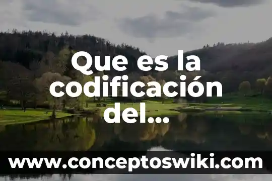 Qué es el conocimiento y tipos en derecho 7 Que es la codificación del conocimiento