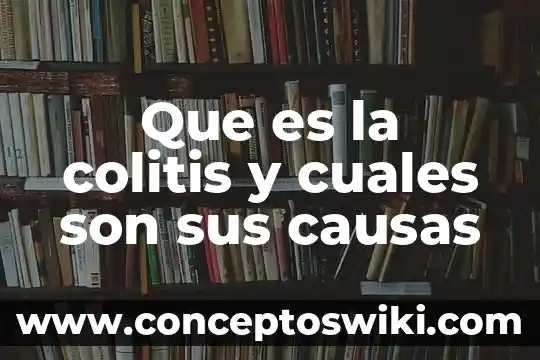 Qué es y cuáles son las características de un argumento 3 Que es la colitis y cuales son sus causas