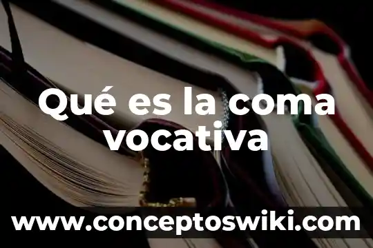 Qué es la representación de coma flotante 8 Qué es la coma vocativa