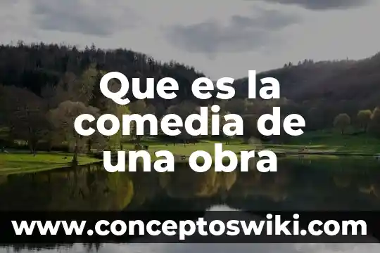 Que es gerencia de obra 3 Que es la comedia de una obra