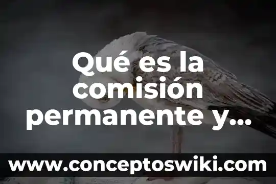 Para que es esta medicina metoclopramida 3 Qué es la comisión permanente y cómo está integrada