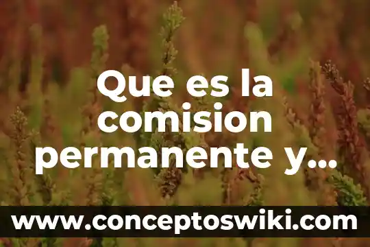 Que es funciones en calculo diferencial 8 Que es la comision permanente y sus funciones