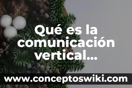 Que es desplazamiento en tiro vertical en fisic 5 Qué es la comunicación vertical ascendente