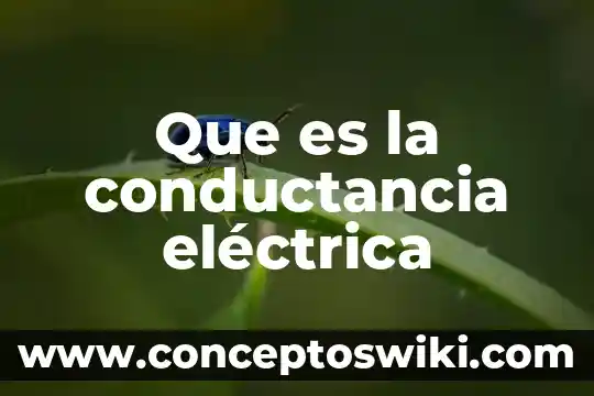 Que es una caracteristica electrica 6 Que es la conductancia eléctrica